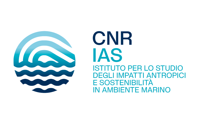 LOGO-CNR